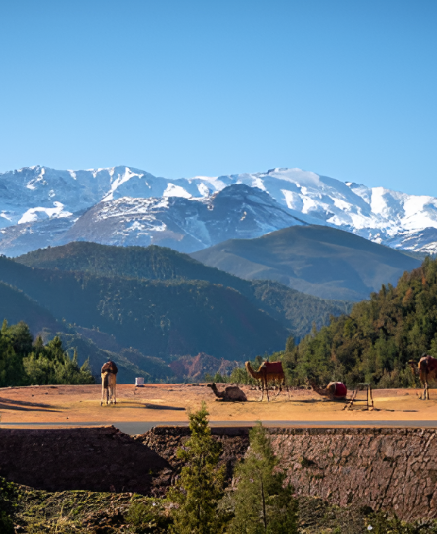 Voyage Eberino eberino tour (3)