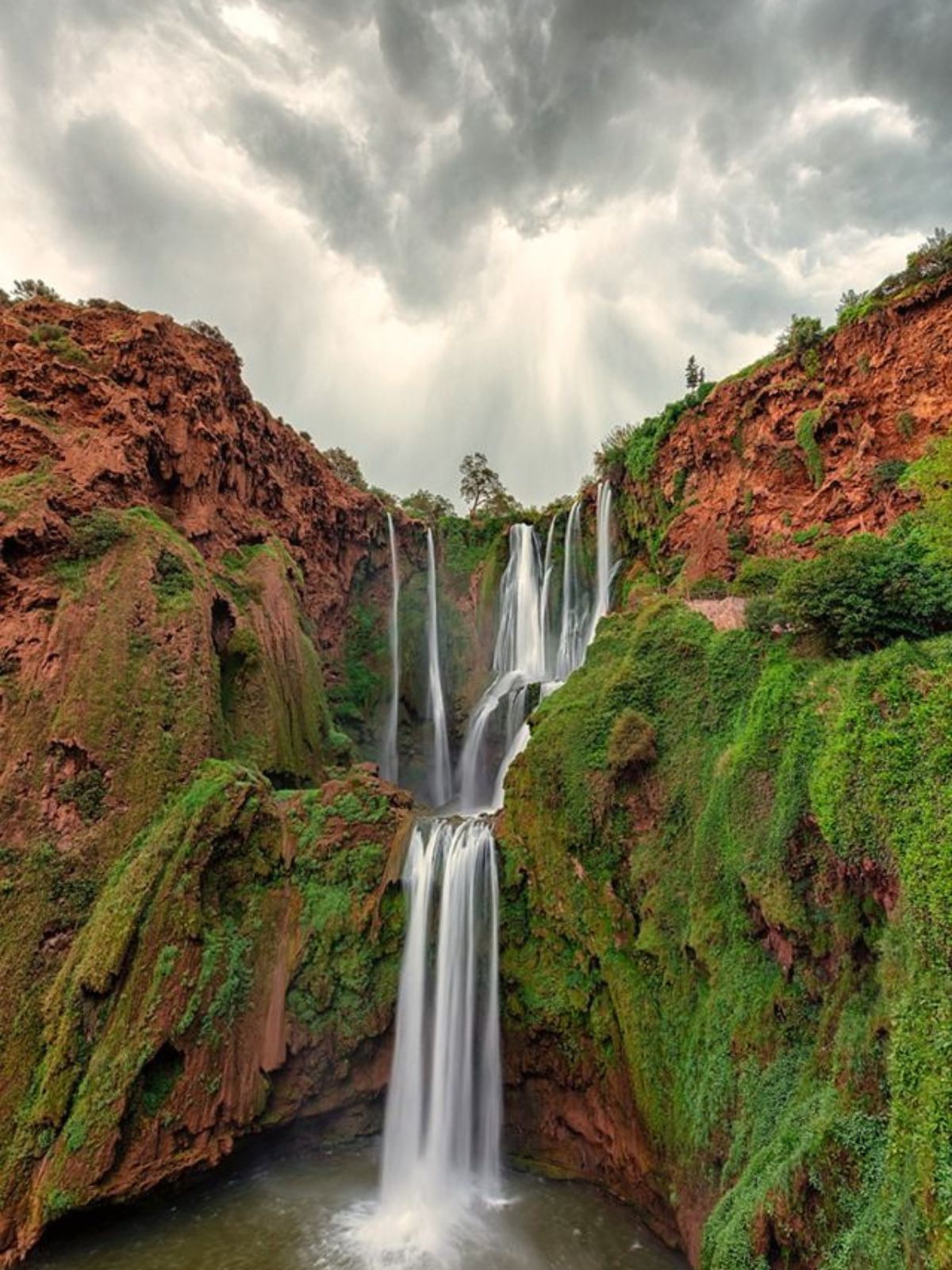 Voyage Eberino eberino (47)