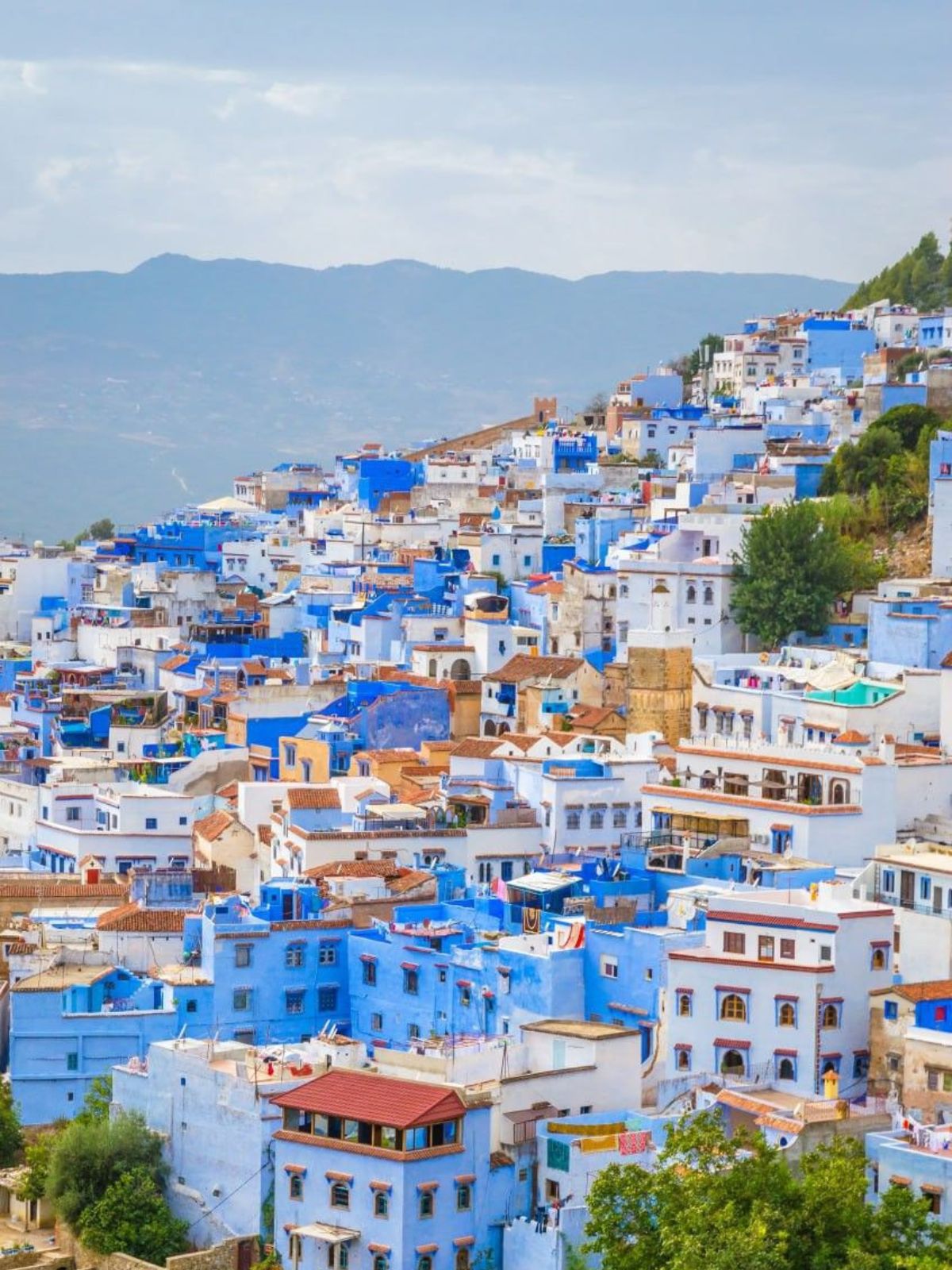 Voyage Eberino eberino (6)